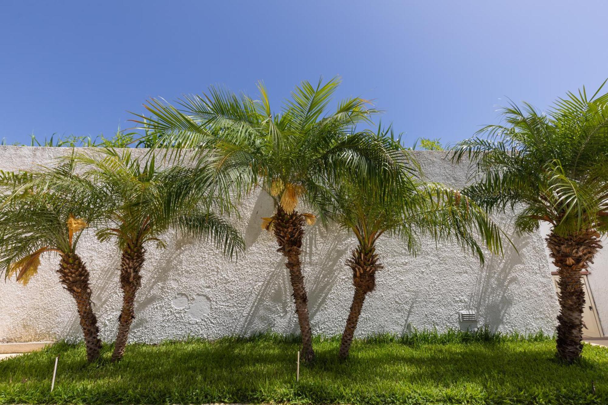 Villa Kore, Capo Vaticano Exterior photo